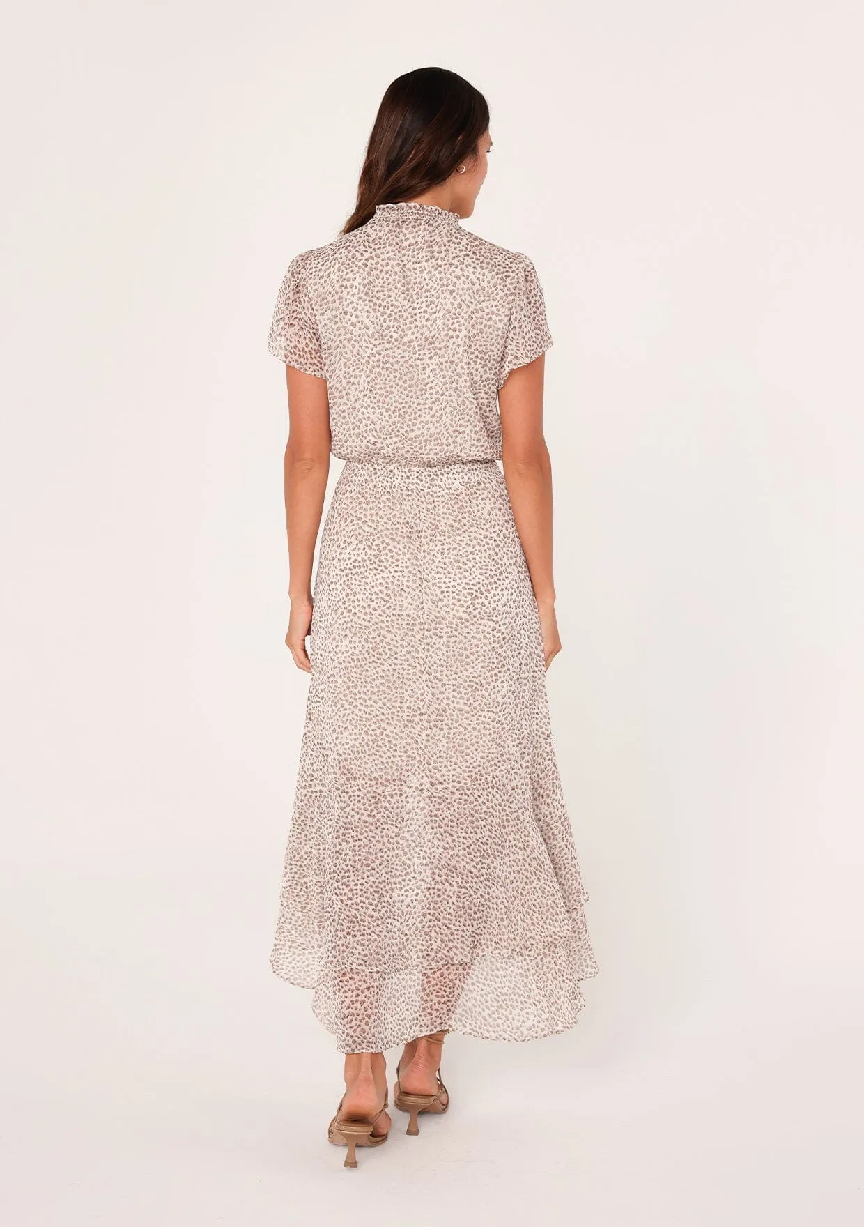 Alessia Animal Print Maxi Dress