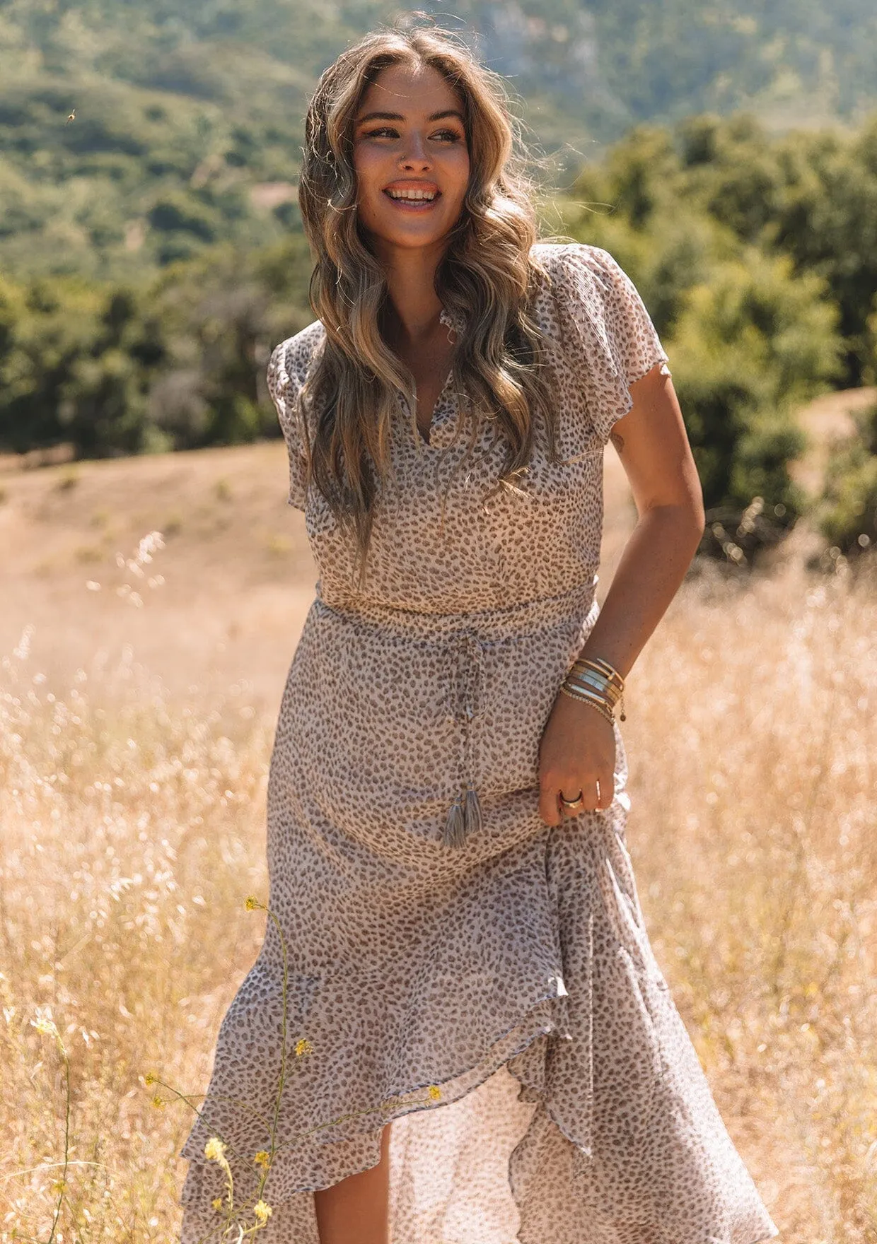 Alessia Animal Print Maxi Dress