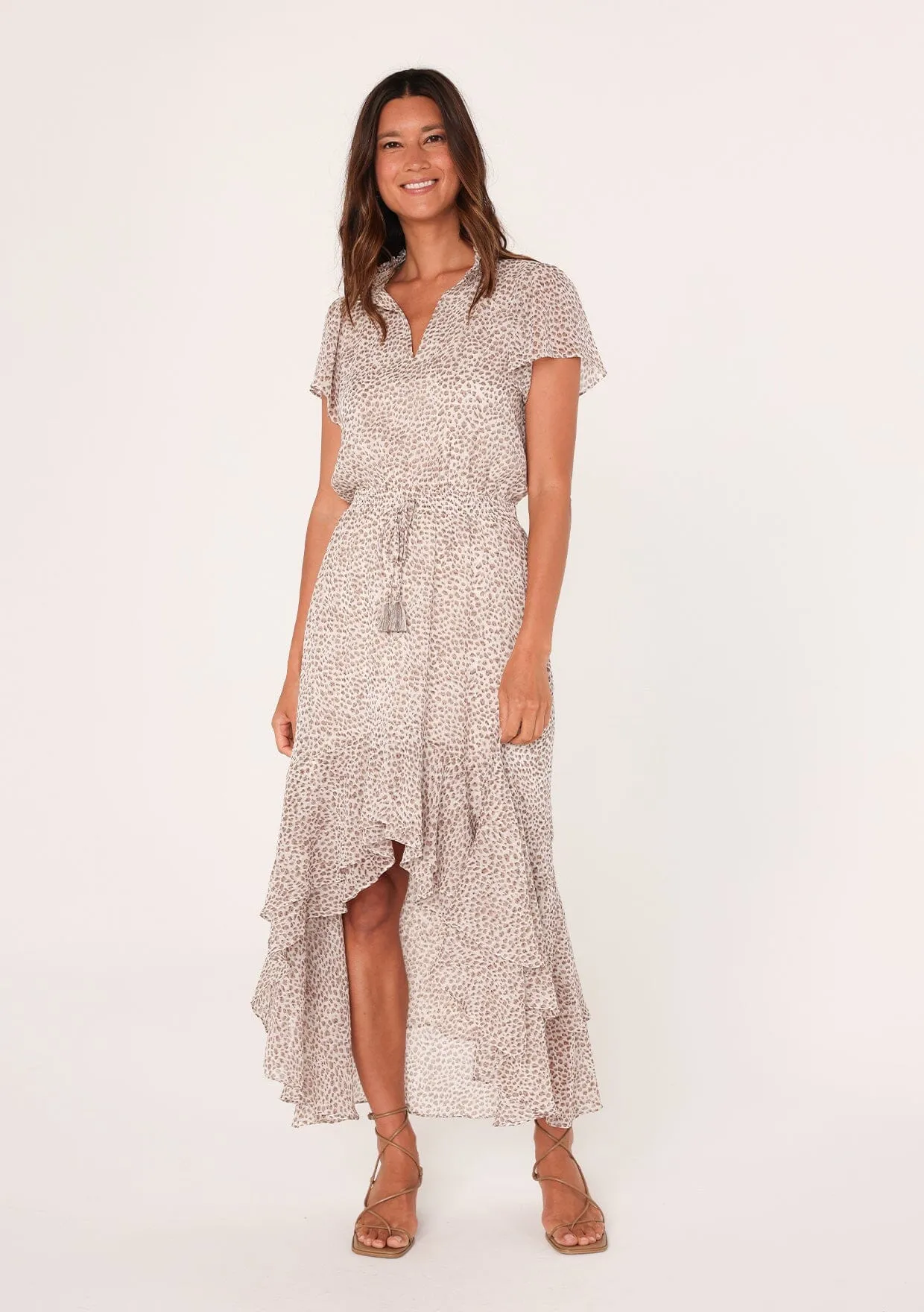 Alessia Animal Print Maxi Dress
