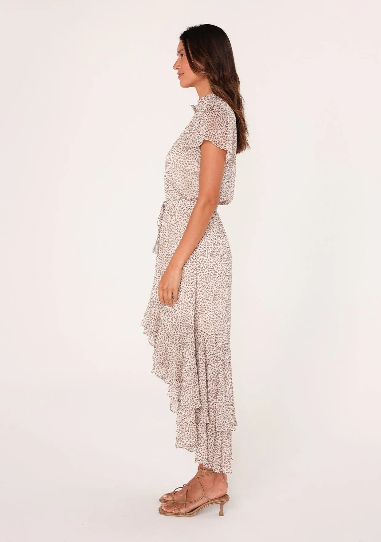 Alessia Animal Print Maxi Dress