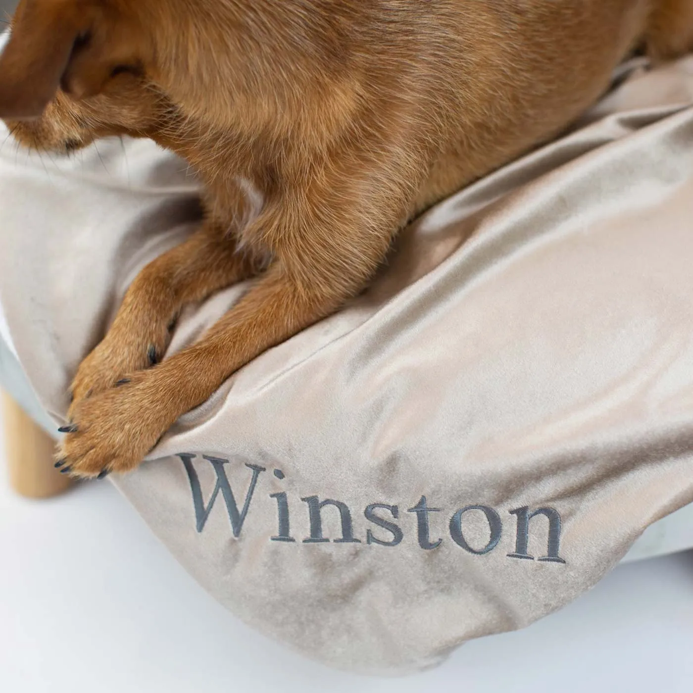 Dog & Puppy Blanket in Velvet by Lords & Labradors