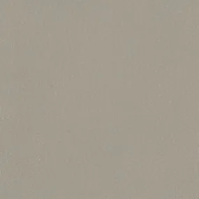 Fortis - Bone - 4025 - 02