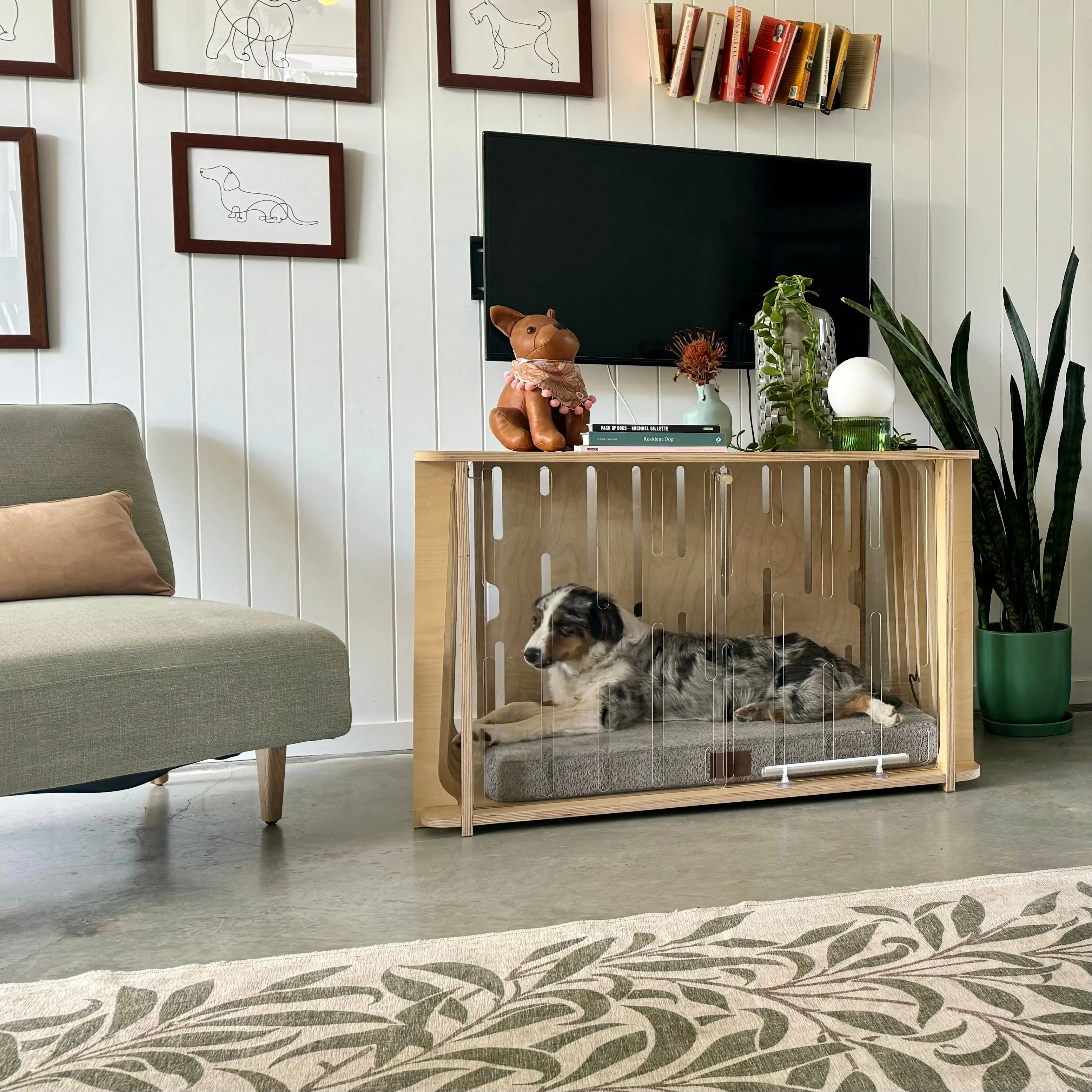 Teddy the Designer Dog Crate