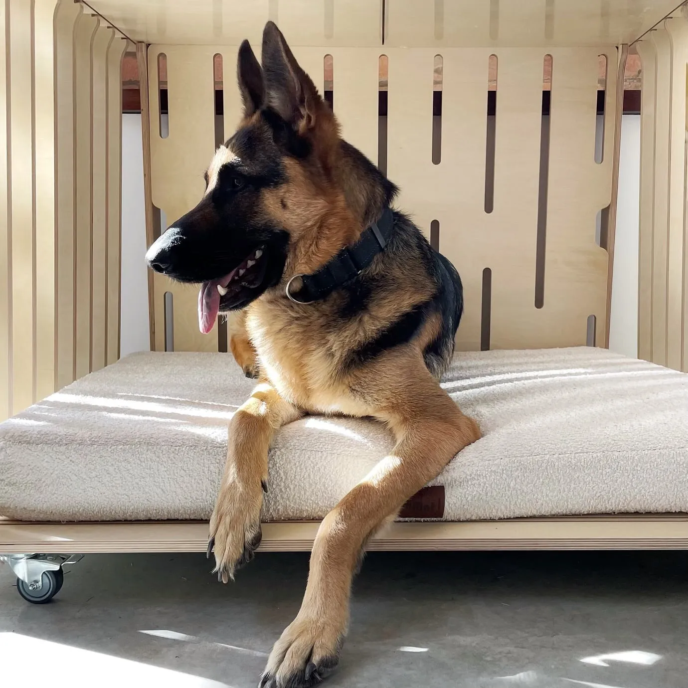 Teddy the Designer Dog Crate