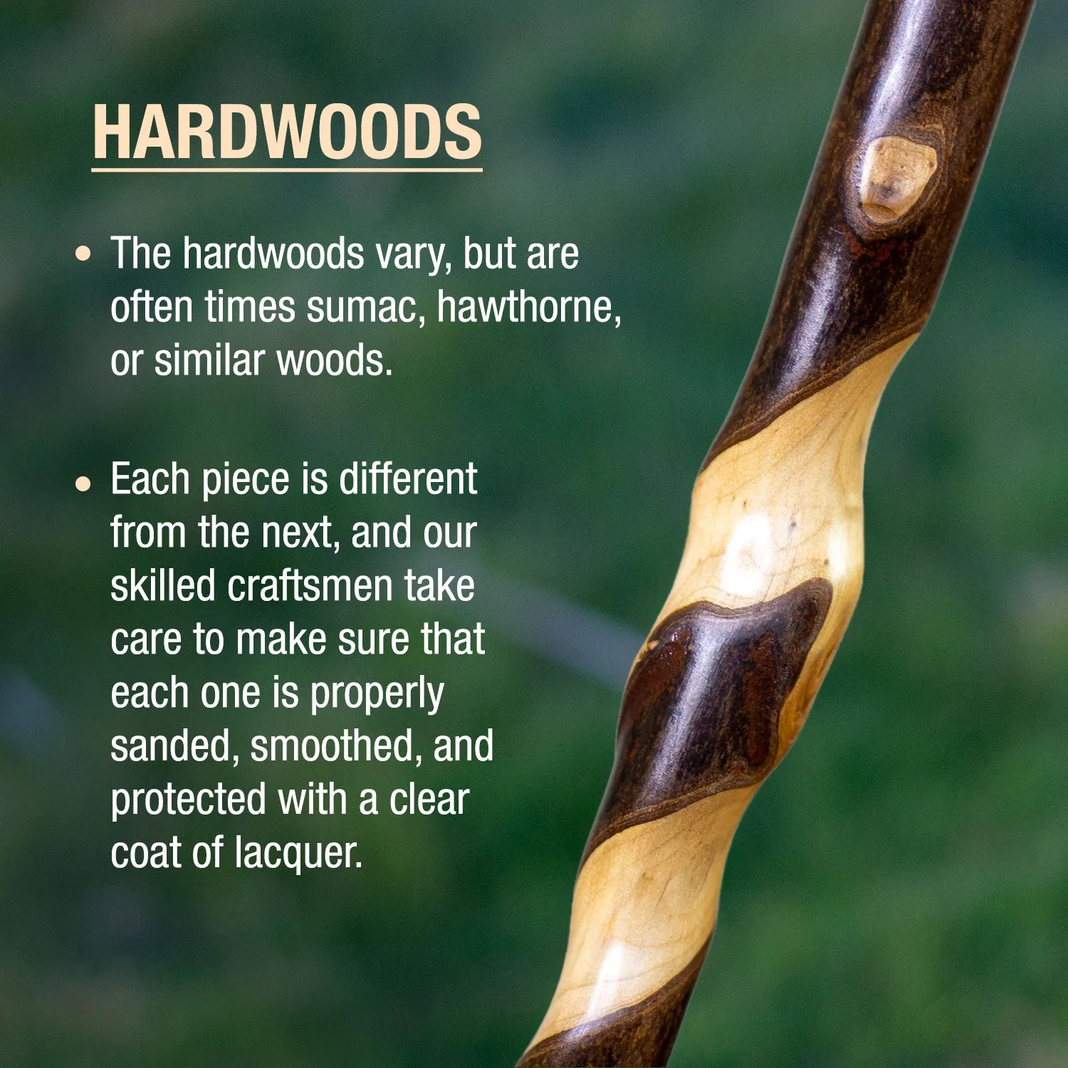 Twisted Assorted Hardwood American Rustic Walking Cane 34"