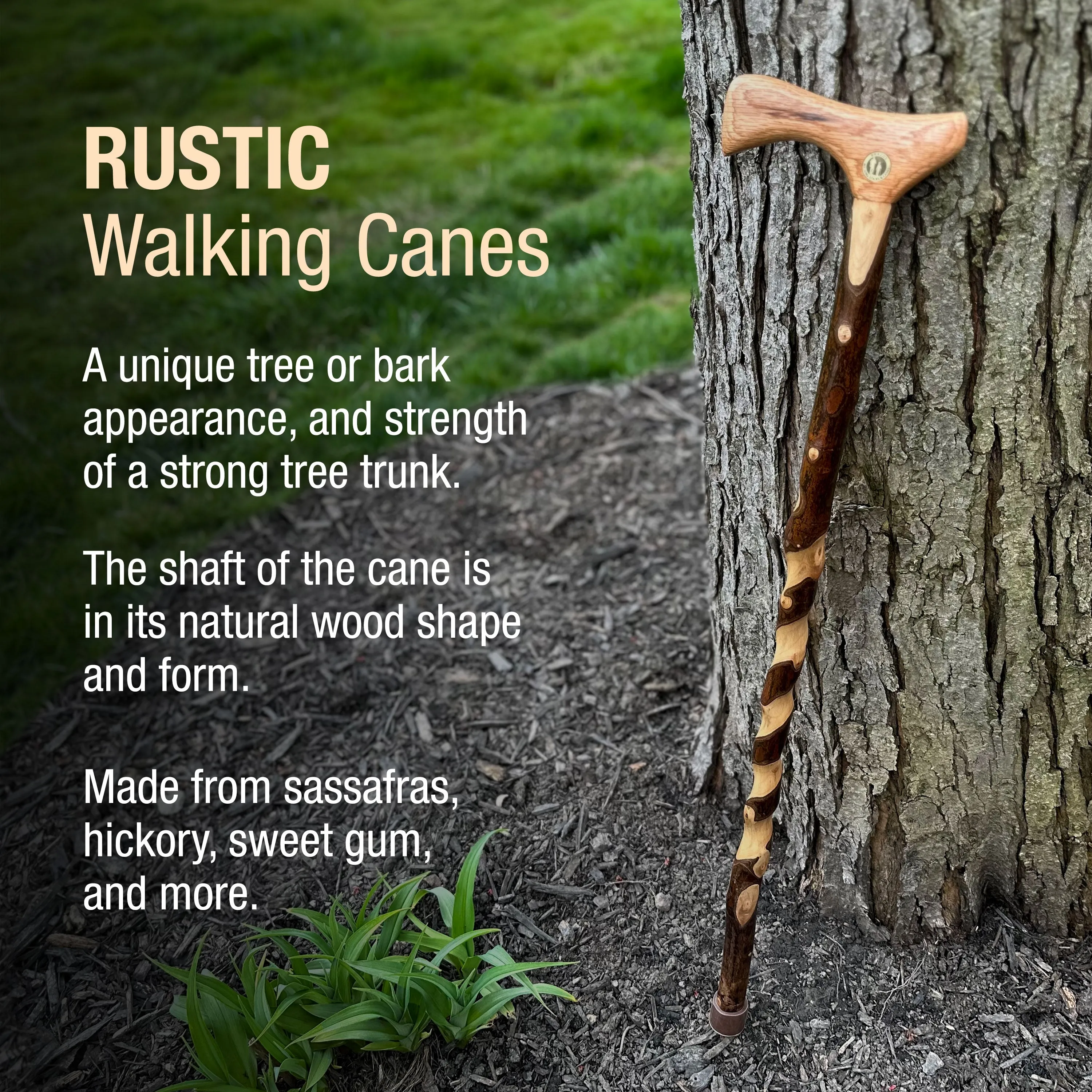 Twisted Assorted Hardwood American Rustic Walking Cane 34"